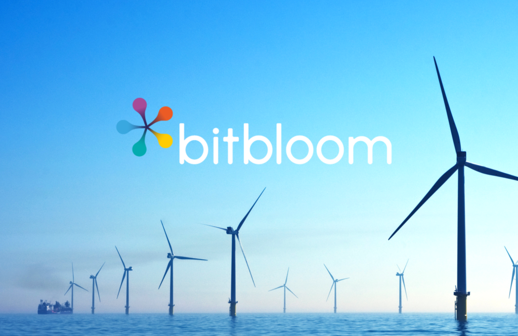 Bitbloom Launches New Brand - bitbloom