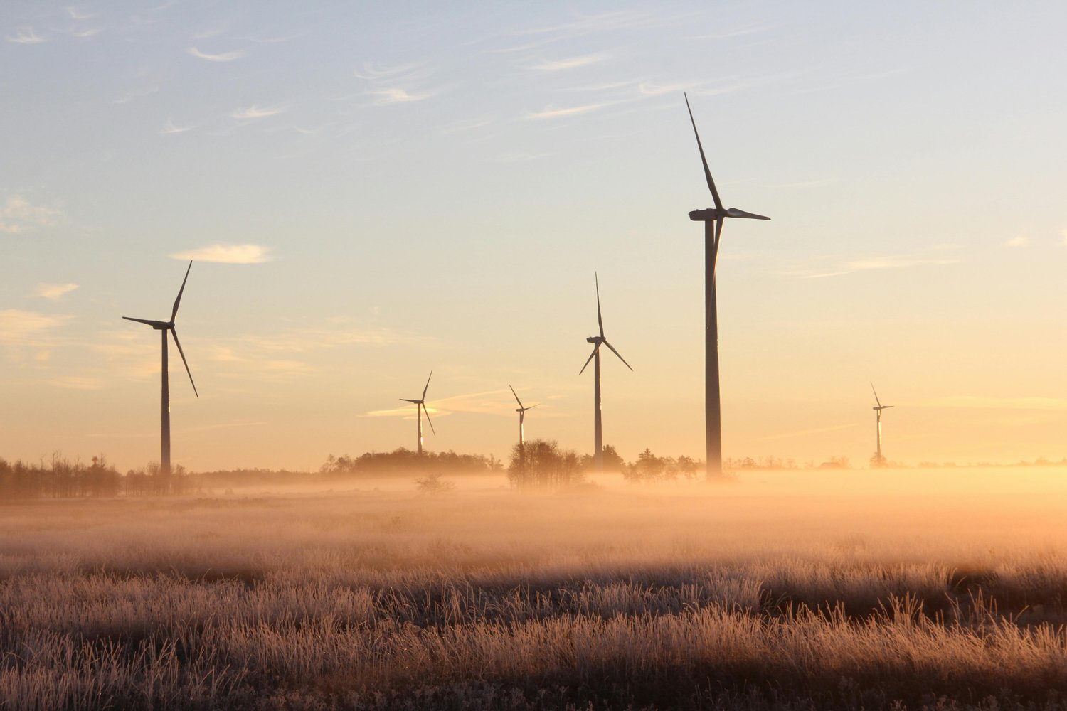 Image of wind turbines across a field of grass on misty morning