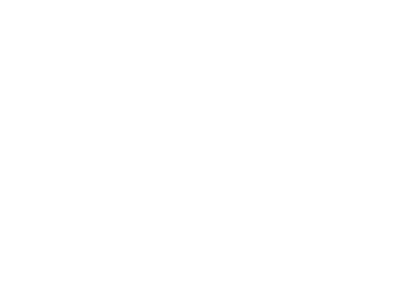 Rina logo. The letters R I N A . The N is two triangles angled on top of each other